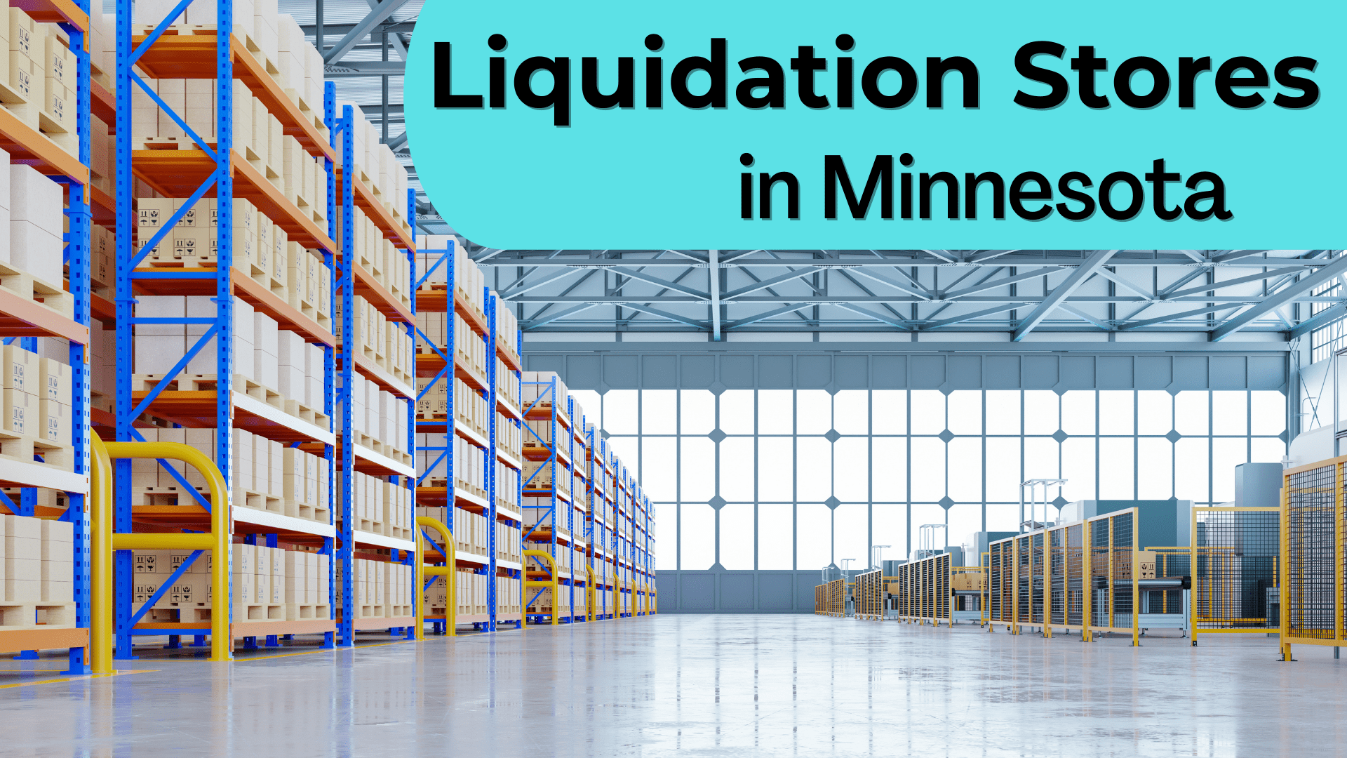 Liquidation Stores in Minnesota