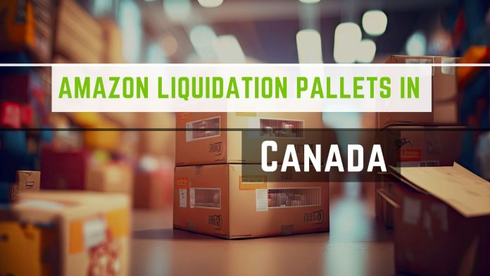 Amazon Liquidation Pallets in Canada