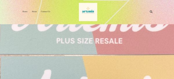 Artemis Plus Size Resale - thrift stores portland maine