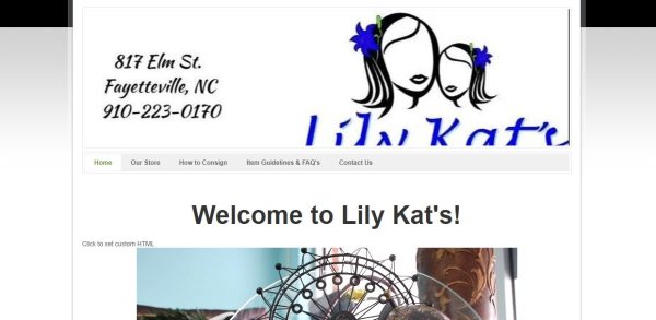 Lily kat's consignment boutique - thrift stores fayetteville nc